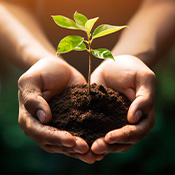 Experienced in Sustainability